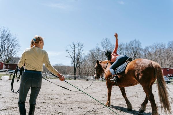 Les meilleures options d'équitation personnalisée à Goncourt